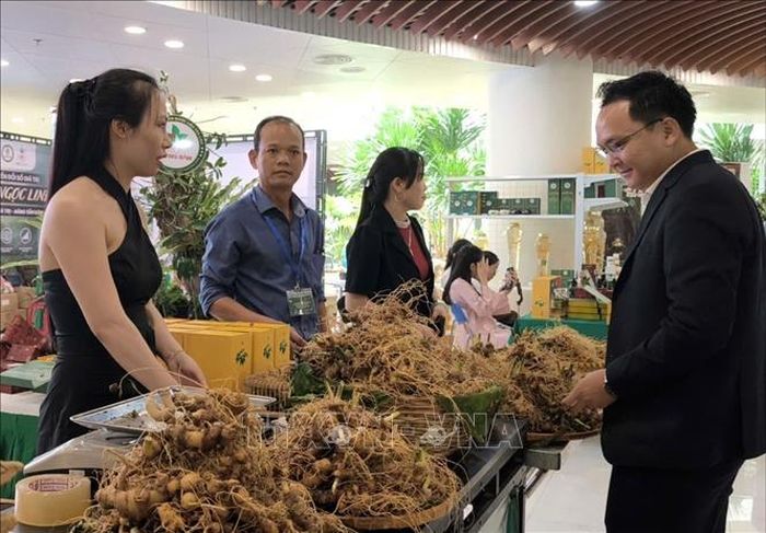 Việc định danh cho cây sâm Ngọc Linh giúp khách hàng yên tâm về nguồn gốc xuất xứ, độ tuổi sinh trưởng cũng như chất lượng khi mua sâm thành phẩm.