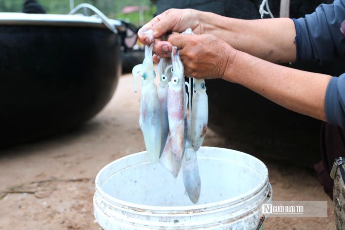 Với giá bán dao động từ 300.000 – 600.000 đồng/kg tùy kích cỡ, mỗi đêm mưu sinh nơi chân sóng mang lại cho bà con từ 1 đến 4 triệu đồng. Dẫu vậy, biển khơi không phải lúc nào cũng "hào phóng" ban tặng lộc trời.  Có những ngày ra khơi hiếm mực, thành quả suốt đêm ròng của ngư dân chỉ vừa đủ cho gia đình sử dụng chứ không có để mang bán.