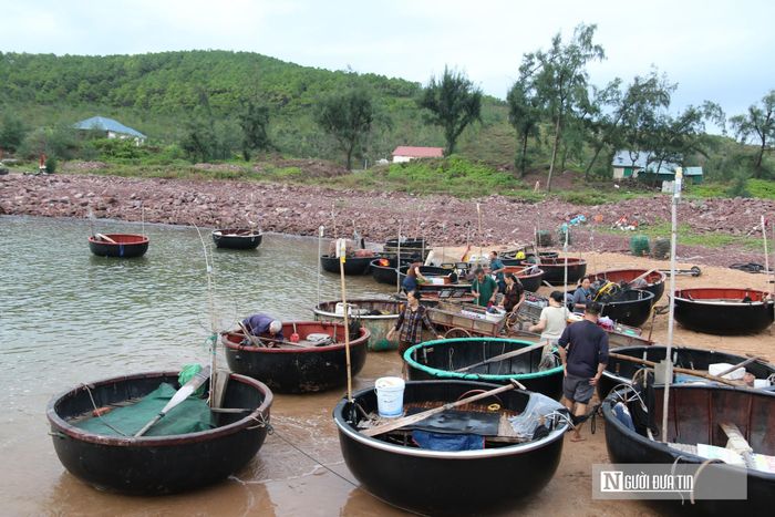 Trao đổi với Người Đưa Tin, bà Lưu Thị Thọ - Trưởng xóm Bắc Thắng, xã  Hải Lộc cho biết, toàn xóm hiện có khoảng gần 60 hộ gia đình đang duy trì nghề câu mực bằng thuyền thúng truyền thống. Trải qua bao thế hệ cha truyền con nối, cái nghề "thức cùng biển đêm" này đã trở thành sinh kế bền vững, mang lại cuộc sống ấm no, khấm khá cho người dân nơi đây.