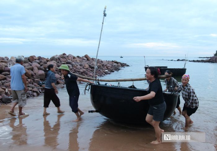 Theo kinh nghiệm của các lão ngư, mùa vụ câu mực thường bắt đầu từ tháng 2 và kéo dài cho đến hết tháng 8 hằng năm. Hành trình mưu sinh trên chiếc thuyền thúng nhỏ bé chưa bao giờ là dễ dàng. Thông thường, ngư dân thả câu ở vùng biển cách bờ khoảng 5 km. Thế nhưng, phụ thuộc vào đường đi của luồng mực, có những đêm họ phải dấn thân ra tận khơi xa, cách đất liền từ 10 - 15 km, đối mặt với muôn vàn hiểm nguy. 