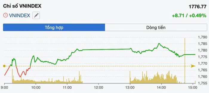 Diễn biến VN-Index trong phiên 10/8 (Ảnh: FireAnt).