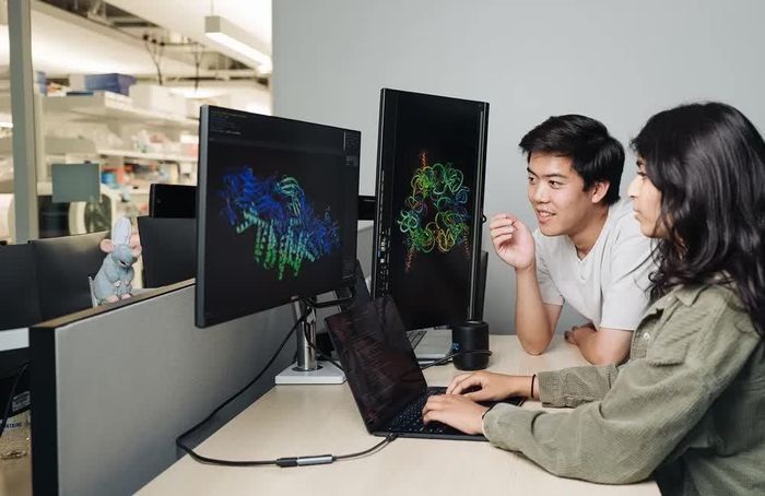 Brian Hie và Aditi Merchant đang xem xét cấu trúc protein được tạo ra bởi Evo 2, một công cụ AI có khả năng đề xuất các thiết kế bộ gen. Ảnh: Stanford Report