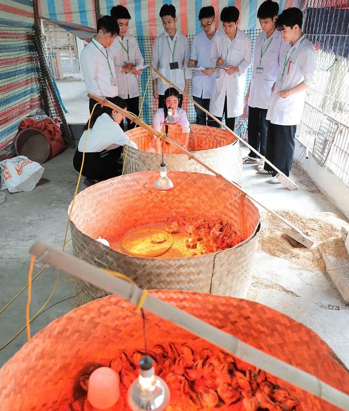 Năm 2026, Học viện Nông nghiệp Việt Nam dự kiến tuyển sinh 9.600 sinh viên. Ảnh minh họa: Học viện Nông nghiệp Việt Nam