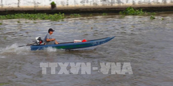 Những chiếc vỏ lãi chở cá đánh bắt từ sông Xà No ra chợ quê để bán. Ảnh: Nguyễn Hằng - TTXVN