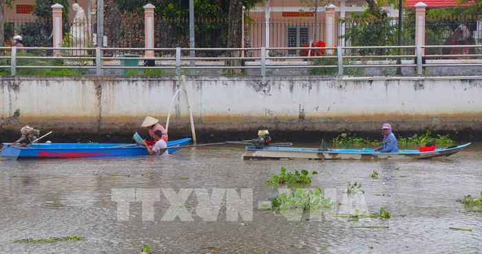 Thủy triều vơi vào buổi sáng là lúc ngư dân giăng lưới, đánh bắt cá. Ảnh: Nguyễn Hằng - TTXVN