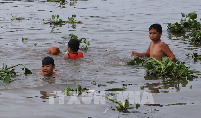 Ven bờ kênh, các em nhỏ tập bơi mỗi buổi chiều với sự giám sát của cha mẹ. Nguyễn Hằng - TTXVN