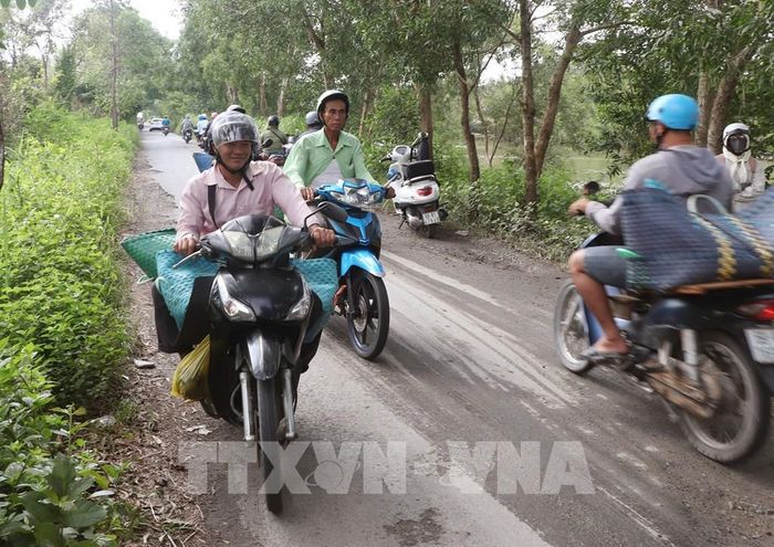 Đây là tuyến đường huyết mạch nên lượng xe lưu thông khá đồng đúc vào giờ cao điểm. Ảnh: Tuấn Phi - TTXVN