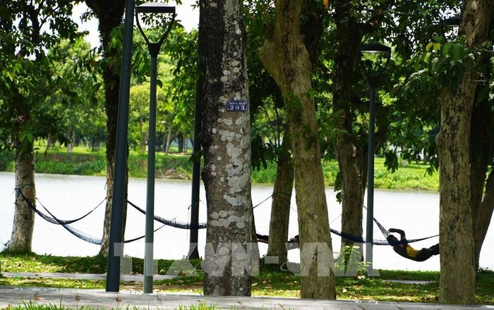 Người dân mắc võng ở Công viên cây xanh bờ Bắc sông Hương, thành phố Huế, để nghỉ ngơi tránh nắng nóng. Ảnh: Nguyên Lý - TTXVN