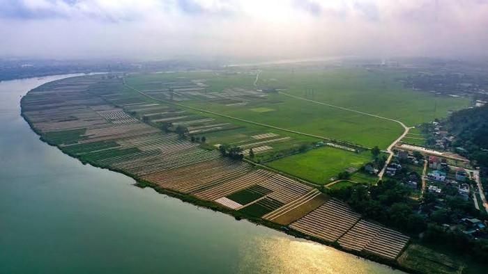 Khung cảnh yên bình của đồng bãi xanh mướt bên dòng Lam. Ảnh: báo Nghệ An