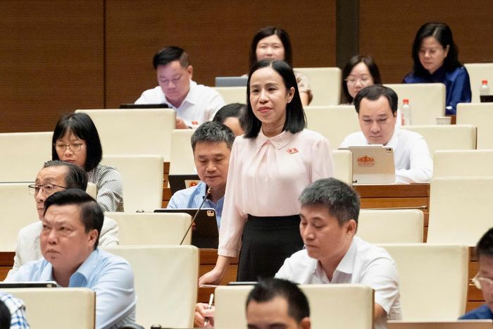 Bà Võ Ngọc Thanh Trúc, Phó trưởng đoàn đại biểu Quốc hội TPHCM, phát biểu
