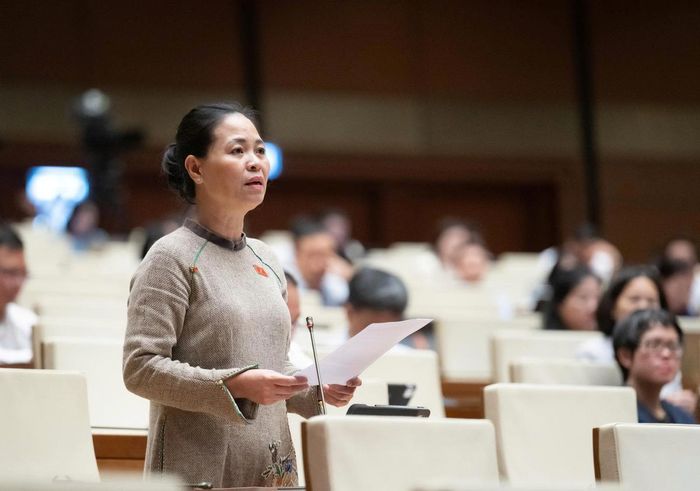 Đại biểu Nguyễn Thị Thu Dung (đoàn TP Hà Nội)
