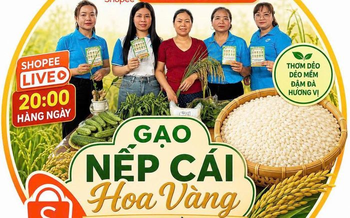 Quảng cáo phiên livestream bán hàng của Chi hội phụ nữ Phong Mỹ, xã Trung Giã