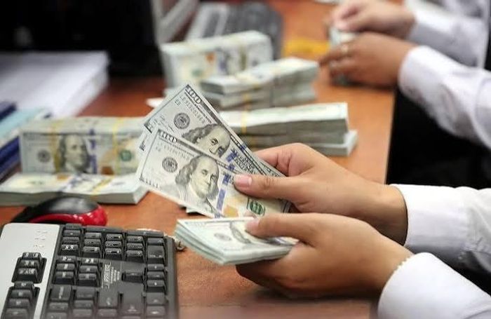 Tại Sở giao dịch Ngân hàng Nhà nước, giá mua vào và bán ra USD duy trì lần lượt ở mức 24.212 VND/USD và 26.654 VND/USD. (Ảnh minh hoạ)