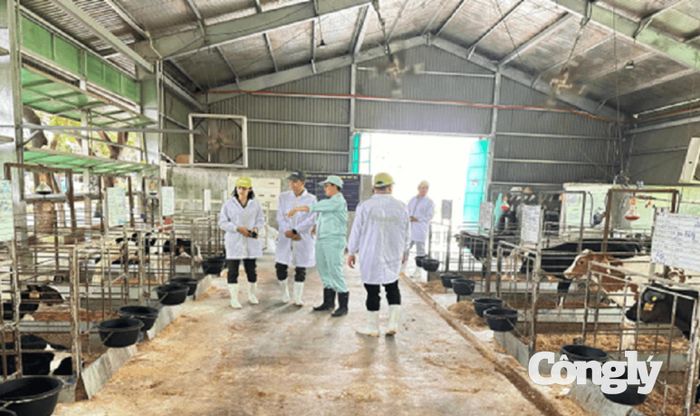 Lực lượng An ninh kinh tế Công an tỉnh Lâm Đồng chủ động nắm tình hình doanh nghiệp, kịp thời phòng ngừa nguy cơ ảnh hưởng đến an ninh chuỗi cung ứng và thị trường sữa.