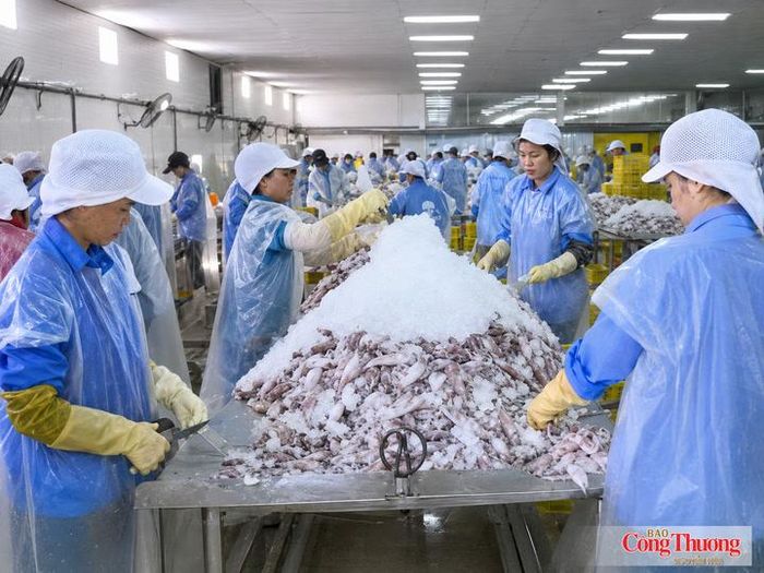 Giai đoạn 2026 - 2030, tỉnh Hà Tĩnh dự kiến hỗ trợ khoảng 15 cơ sở công nghiệp nông thôn, bình quân 3 cơ sở mỗi năm, ứng dụng máy móc, thiết bị tiên tiến và tiến bộ khoa học kỹ thuật vào sản xuất.