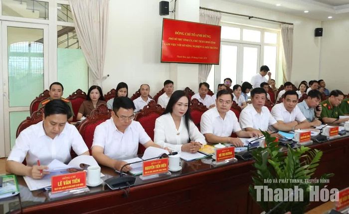 Lãnh đạo Sở NN&MT cùng các đại biểu dự buổi làm việc.