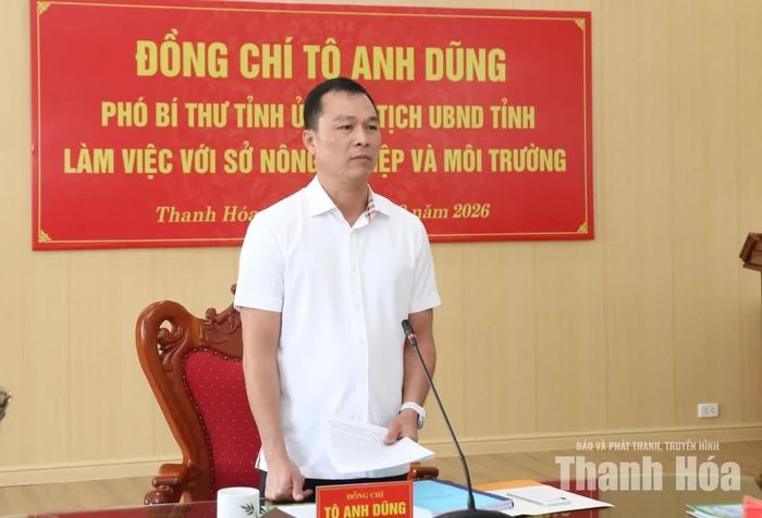 Phó Bí thư Tỉnh ủy, Chủ tịch UBND tỉnh Tô Anh Dũng phát biểu chỉ đạo tại buổi làm việc.