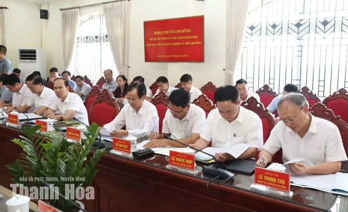 Các đại biểu dự buổi làm việc.