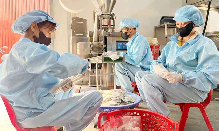  Mô hình sản xuất của hội viên phụ nữ xã Tiên Lục tạo việc làm cho nhiều lao động nữ. 