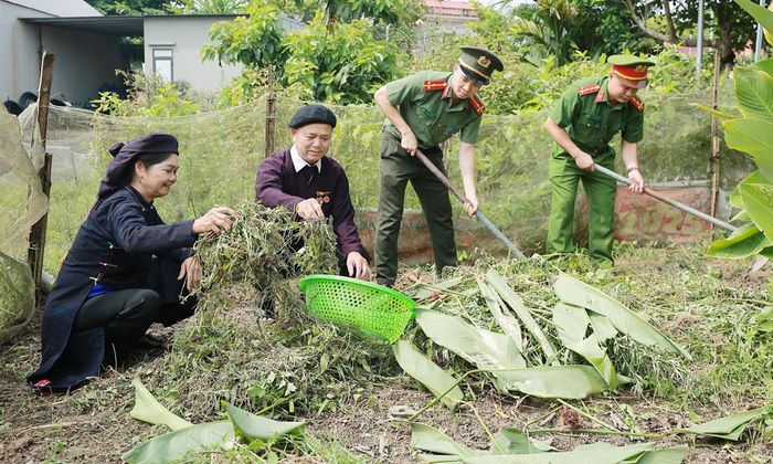  Đại úy Hồ Văn Cường (ngoài cùng bên phải) cùng bà con dân tộc Sán Chí cải tạo vườn tạp. 