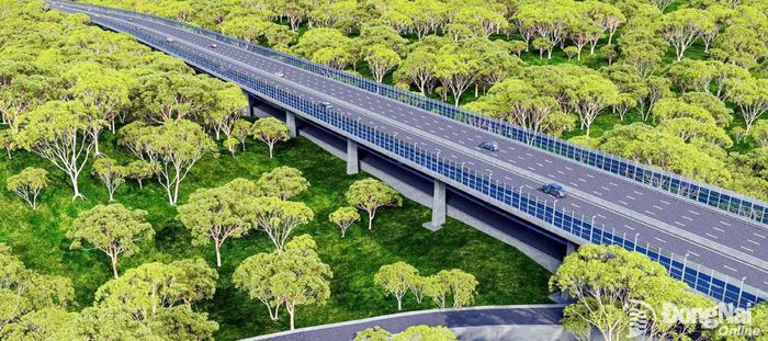 Phối cảnh tuyến đường trên cao đi xuyên rừng Mã Đà. Ảnh tư liệu