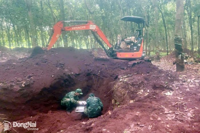 Lực lượng tìm kiếm tỉ mỉ đào tìm hài cốt liệt sĩ tại khu vực Sân bay Lộc Ninh, phường Lộc Ninh. Ảnh: ĐVCC