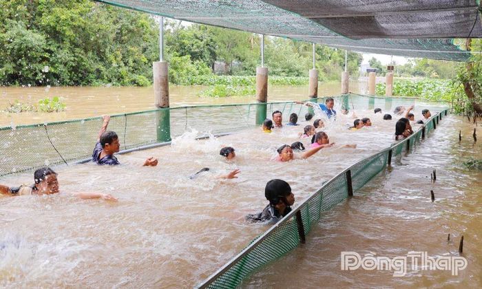 Học sinh tham gia lớp phổ cập bơi tại điểm bơi cộng đồng trên kênh Hội Đồng Tường, Ấp 3, xã Mỹ Hiệp.