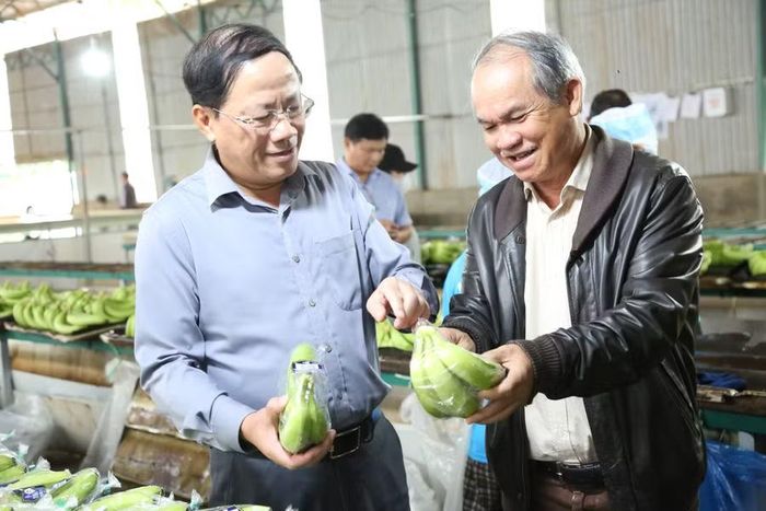  Chủ tịch UBND tỉnh Phạm Anh Tuấn (bên trái) khảo sát hoạt động sản xuất tại nhà máy chế biến chuối của Tập đoàn Hoàng Anh Gia Lai. Ảnh: Tiến Sỹ 