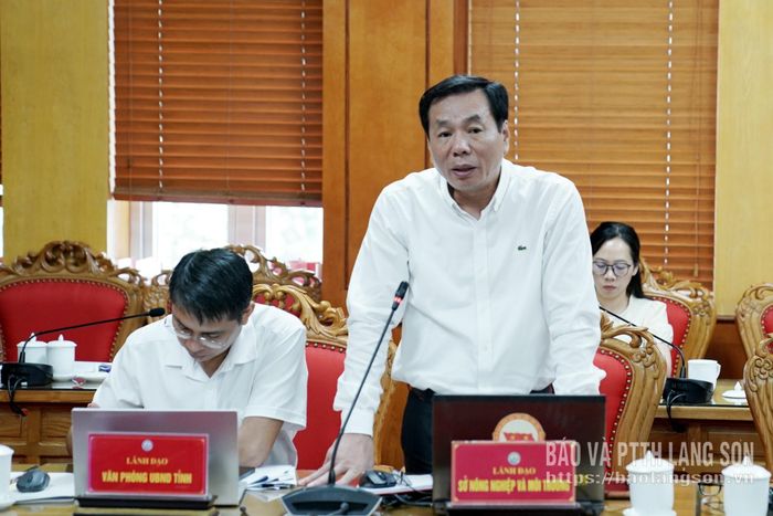 Lãnh đạo Sở Nông nghiệp và Môi trường báo cáo tình hình triển khai công việc được giao tại cuộc họp