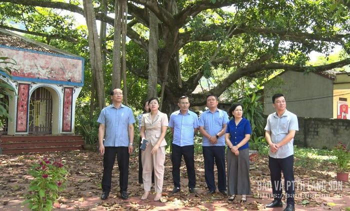 Đoàn công tác khảo sát thực tế tại Đình Quỳnh Sơn