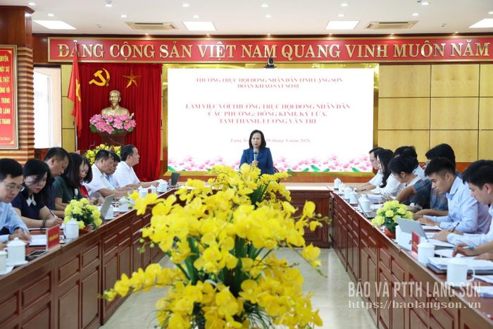 Đồng chí Đoàn Thị Hậu, Phó Bí thư Thường trực Tỉnh ủy, Chủ tịch HĐND tỉnh, Trưởng Đoàn khảo sát phát biểu kết luận buổi làm việc