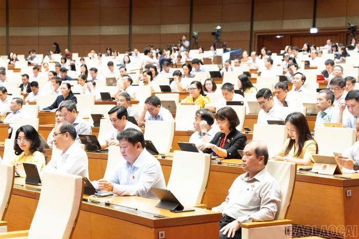 Các đại biểu tham dự phiên thảo luận.