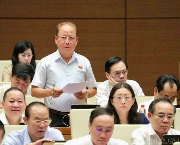 Phó Trưởng Đoàn đại biểu Quốc hội chuyên trách tỉnh Lào Cai Sùng A Lềnh tham gia thảo luận tại hội trường sáng 10/8.