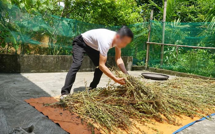 Mỗi việc làm được tạo ra là thêm một cánh cửa hòa nhập được mở rộng đối với những người sau cai nghiện.