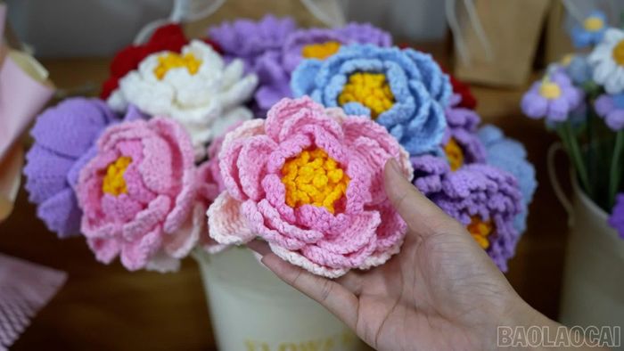 Sản phẩm thú vị từ len.