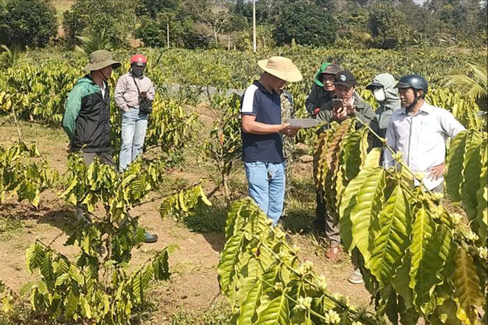 Chính quyền xã Đắk Mil và các đơn vị liên quan kiểm tra thực tế công tác giải phóng mặt bằng tại dự án Trạm biến áp