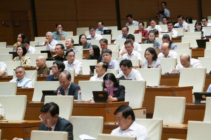 Các đại biểu tham dự