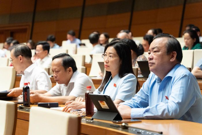 Các đại biểu tham dự phiên thảo luận