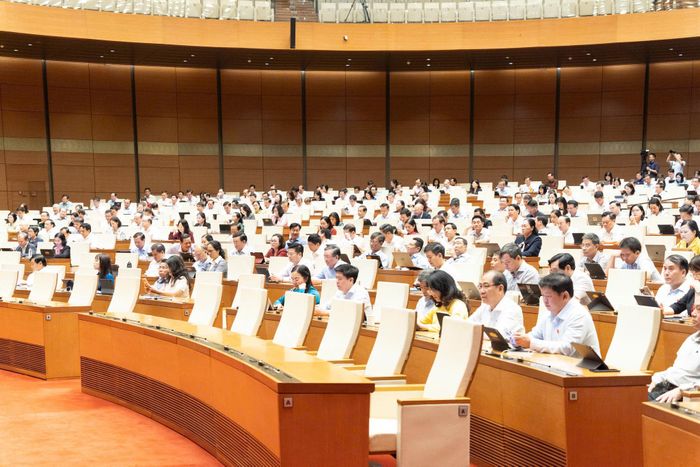 Các đại biểu tham dự