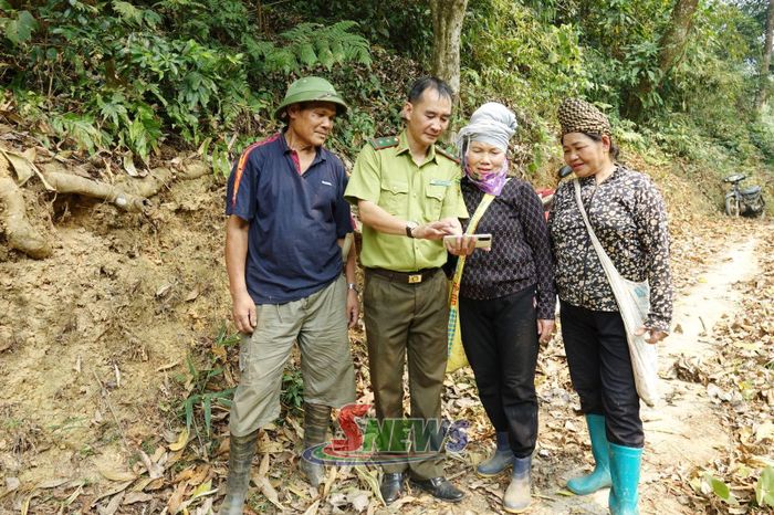 Cán bộ Kiểm lâm và người dân bản Có Thé, phường Chiềng An kiểm tra diện tích rừng trên địa bàn.