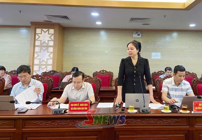 Lãnh đạo Ban Dân tộc phát biểu tại hội nghị.