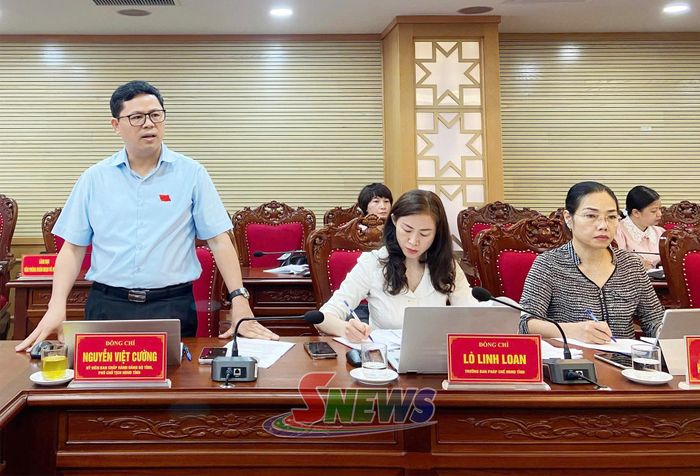 Đồng chí Nguyễn Việt Cường, Phó Chủ tịch HĐND tỉnh phát biểu tại hội nghị.