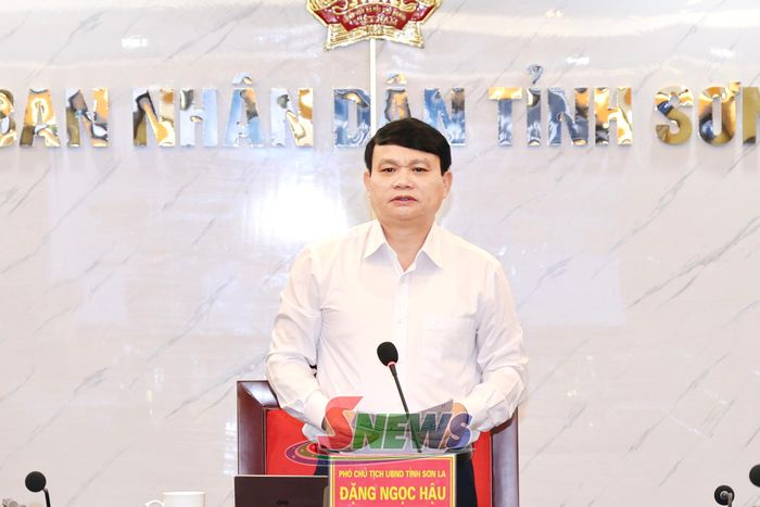 Đồng chí Đặng Ngọc Hậu, Phó Chủ tịch UBND tỉnh, phát biểu tại cuộc họp