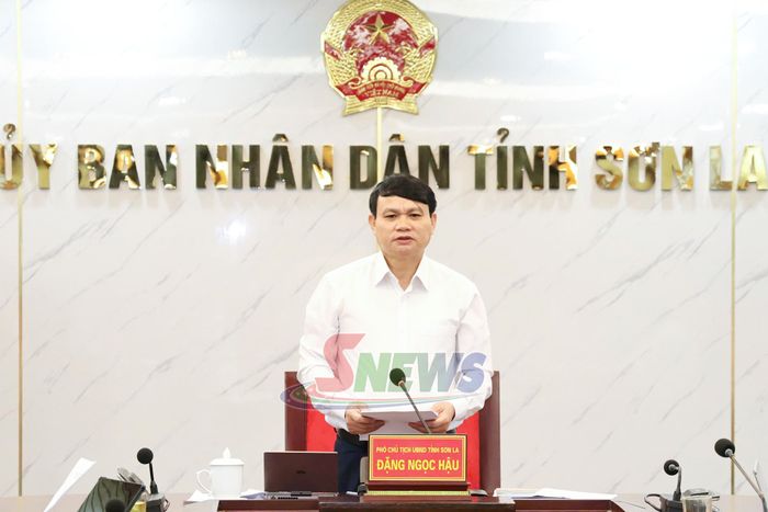 Đồng chí Phó Chủ tịch UBND tỉnh phát biểu kết luận cuộc làm việc.