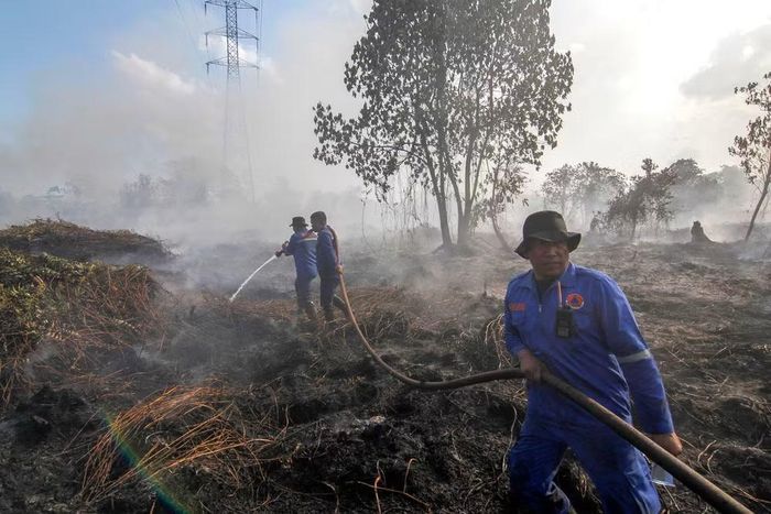 Lính cứu hỏa nỗ lực dập lửa cháy rừng tại Pekanbaru, tỉnh Riau, Indonesia trong mùa khô năm 2025. (Ảnh: THX/TTXVN)