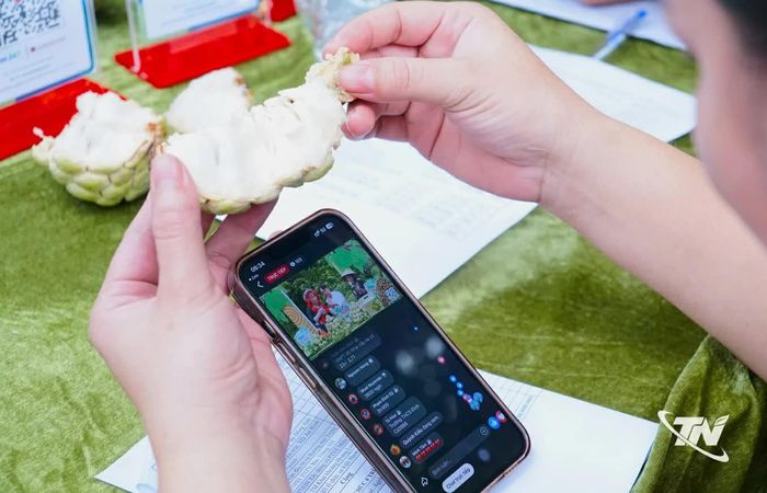 Người xem theo dõi chương trình livestream giới thiệu, quảng bá na Võ Nhai qua điện thoại.