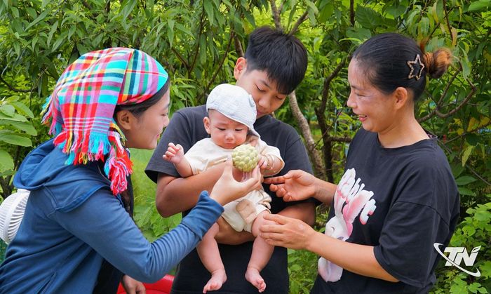 Mùa na đã trở thành một phần quen thuộc trong đời sống của nhiều gia đình ở vùng trồng.