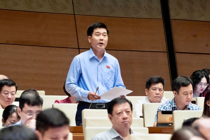 Đại biểu Lê Thanh Hoàn (đoàn Thanh Hoá). Ảnh: Media Quốc hội.