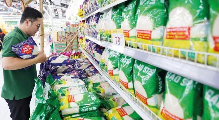 Giá gạo những ngày đầu tháng 8 ghi nhận tín hiệu tích cực. Ảnh: Đức Thanh