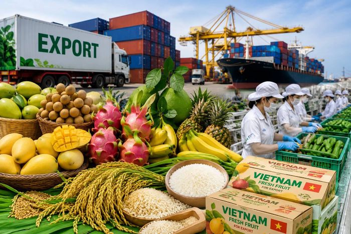 1,251 tỷ USD: Kim ngạch xuất khẩu 6 tháng đầu năm 2026.